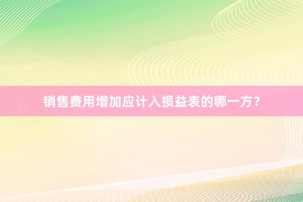 销售费用增加应计入损益表的哪一方？